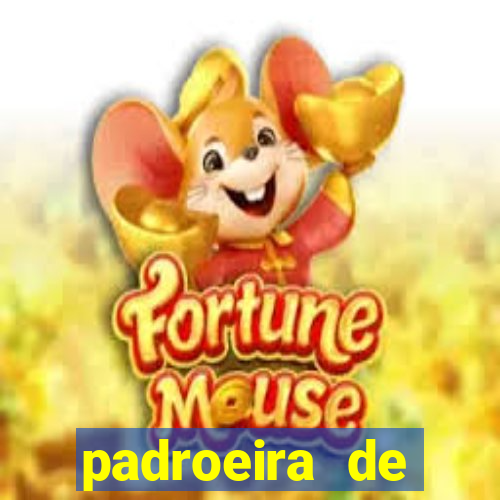 padroeira de cruzeiro sp